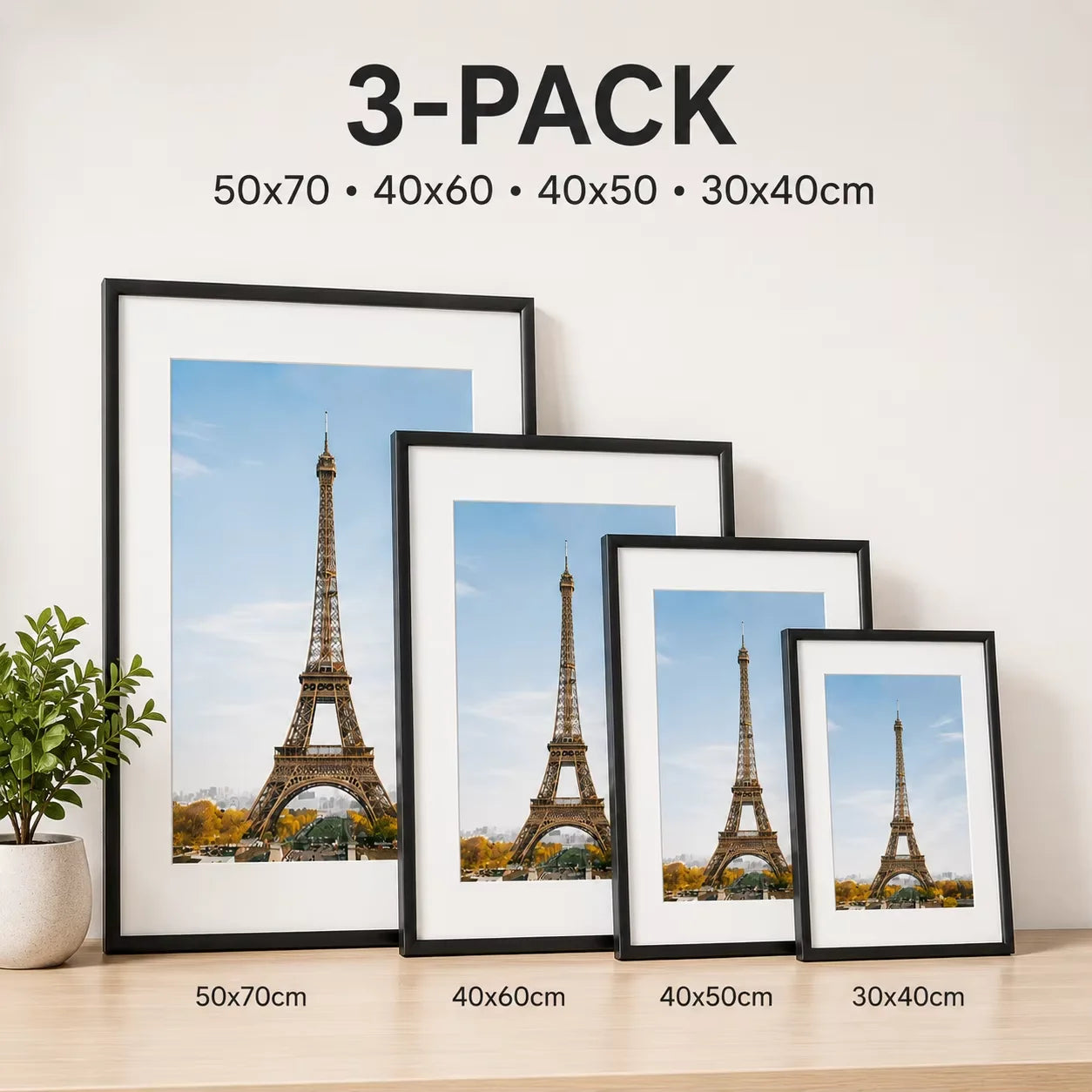 Aluminum Picture Frame Set Three Pieces With Mat