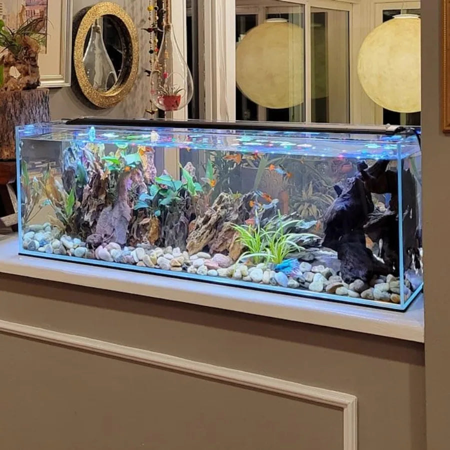 Bookshelf Aquarium With Ultra Low Iron Glass For Crystal Clear Visibility