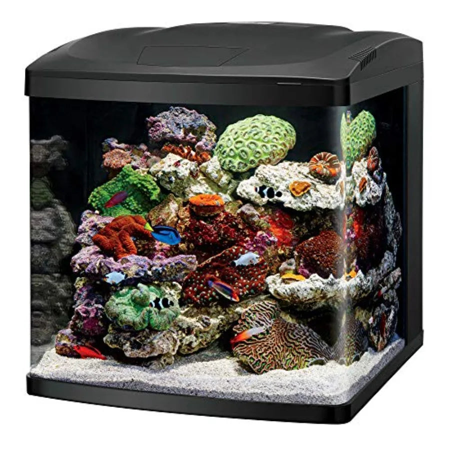 Aquarium Kit For Saltwater And Freshwater With Integrated Timer