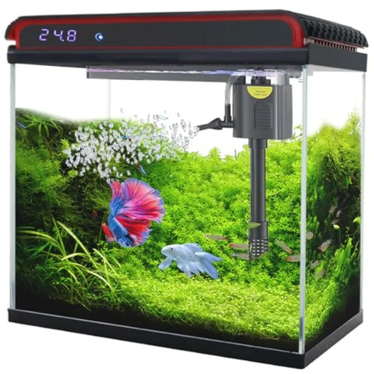 Glass Aquarium Kit With Self Cleaning LED And Temperature Detection