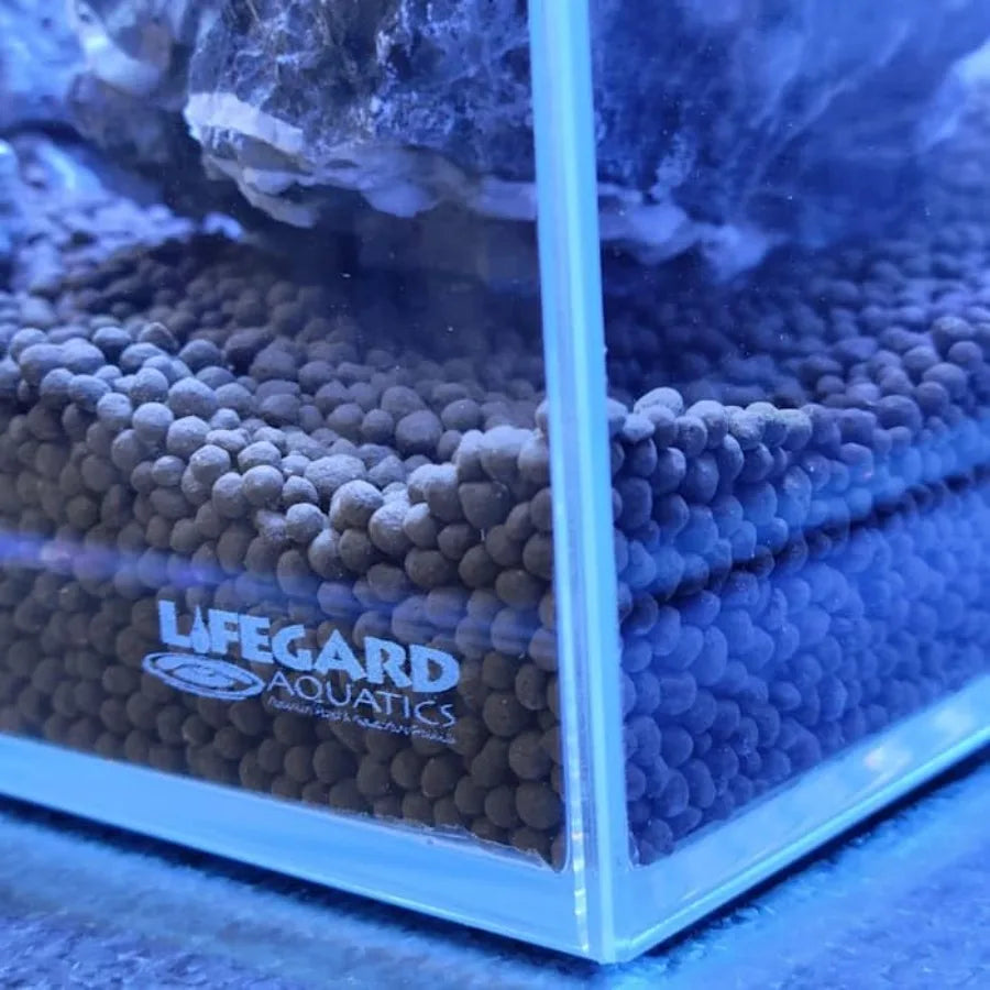 Bookshelf Aquarium With Ultra Low Iron Glass For Crystal Clear Visibility