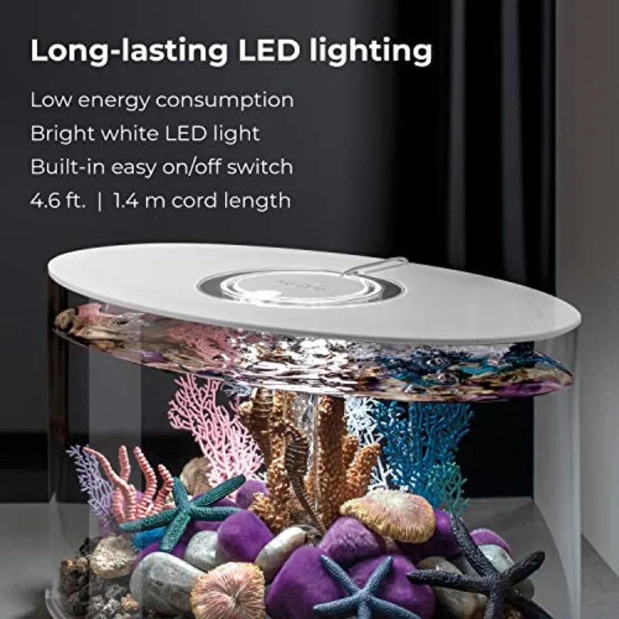Tabletop Acrylic Aquarium With Integrated LED Lighting