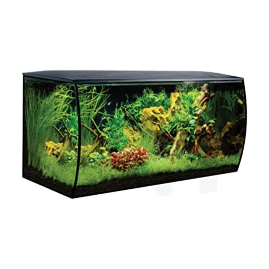 Aquarium Kit for Fish and Plants With LED Lights and Filtration