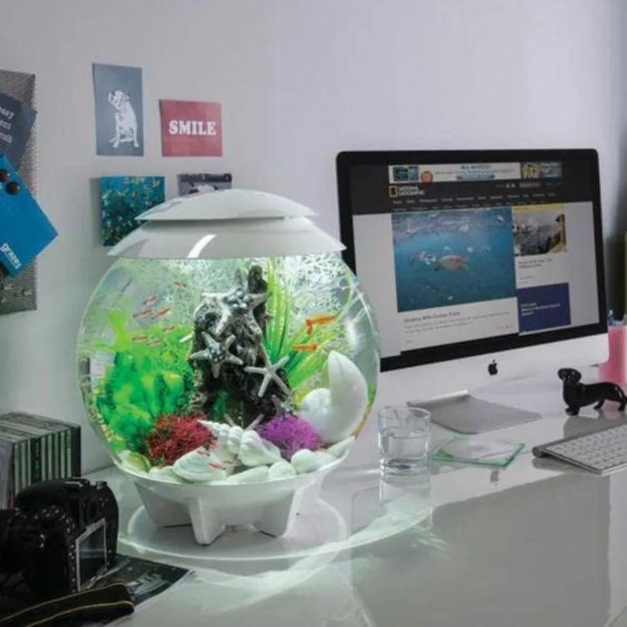 Tabletop Aquarium With Remote LED Lights For Desktop Display