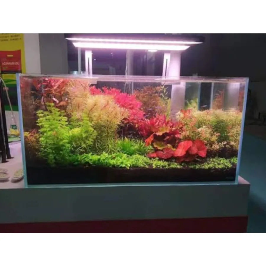 Low Iron Rimless Glass Aquarium Tank For Aquascaping