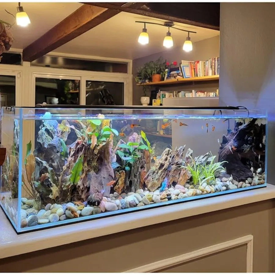Bookshelf Aquarium With Ultra Low Iron Glass For Crystal Clear Visibility