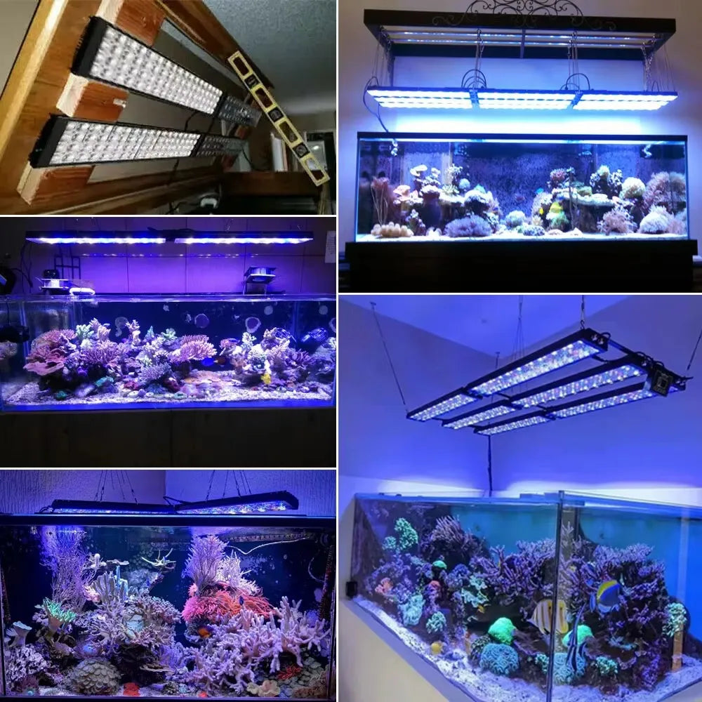 PopBloom WiFi LED Aquarium Light Full Spectrum For Marine Tanks