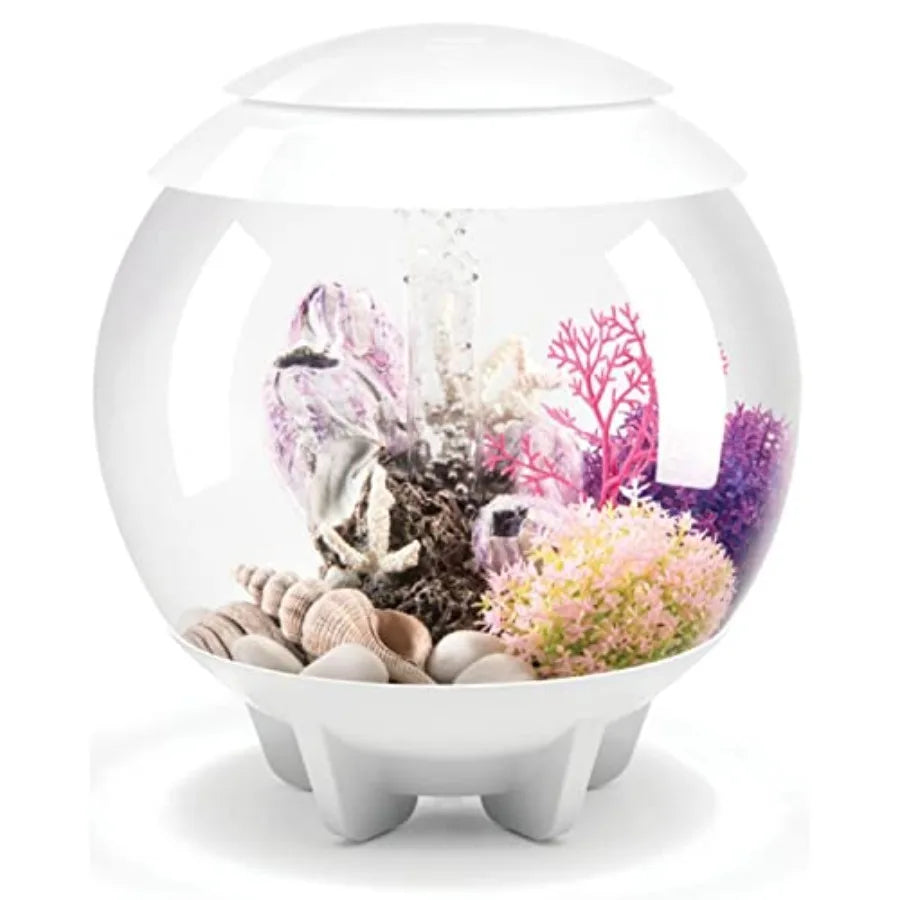 Tabletop Aquarium With Remote LED Lights For Desktop Display