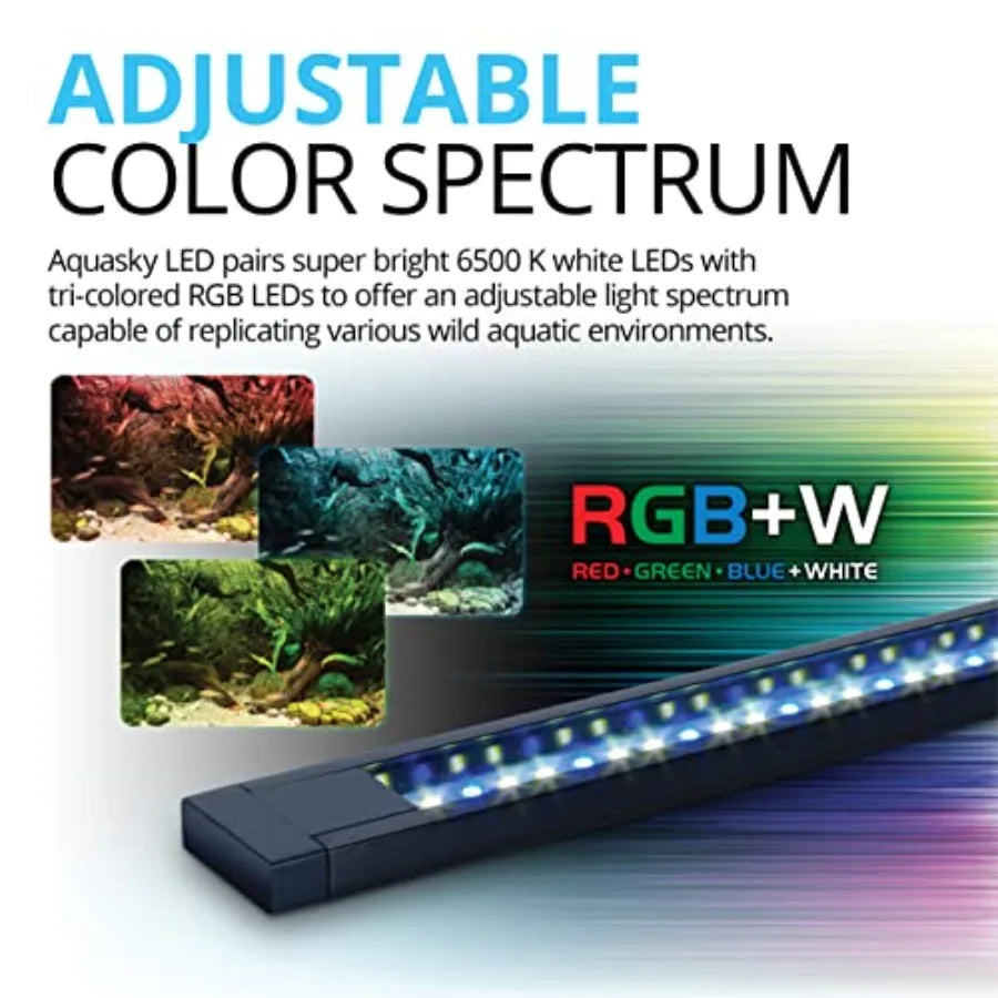 Aquarium Kit for Fish and Plants With LED Lights and Filtration