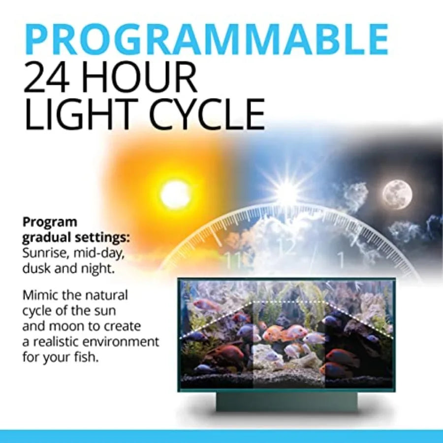 Aquarium Kit for Fish and Plants With LED Lights and Filtration