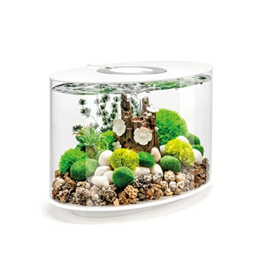 Tabletop Acrylic Aquarium With Integrated LED Lighting