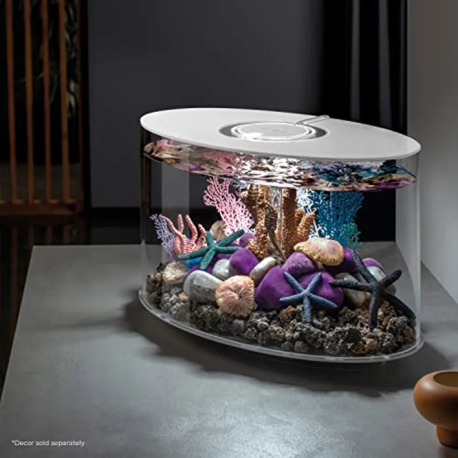 Tabletop Acrylic Aquarium With Integrated LED Lighting
